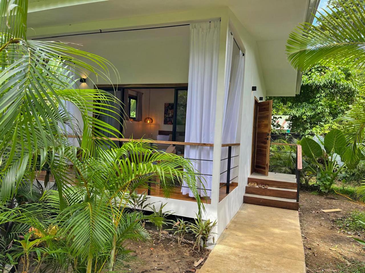 El Nido Jungle Lodge Puerto Viejo de Talamanca Exterior foto