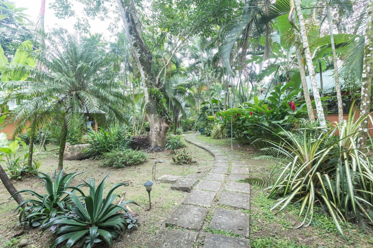 El Nido Jungle Lodge Puerto Viejo de Talamanca Exterior foto