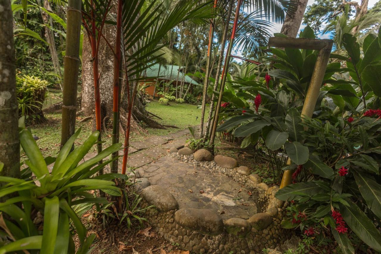 El Nido Jungle Lodge Puerto Viejo de Talamanca Exterior foto