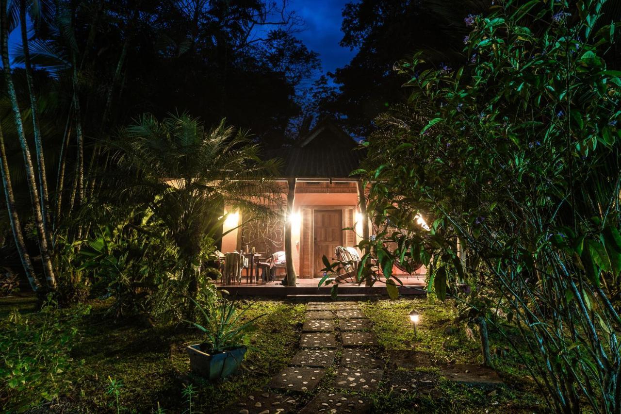 El Nido Jungle Lodge Puerto Viejo de Talamanca Exterior foto